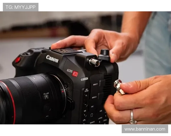 z6尊龙官方网站登录入口用户注册流程详解，快速开启您的尊龙之旅